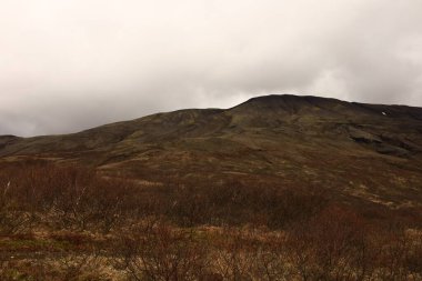 Thingvellir, İzlanda 'nın güneybatısında, başkenti Reykjavik' ten çok uzak olmayan tarihi bir yer ve ulusal park..