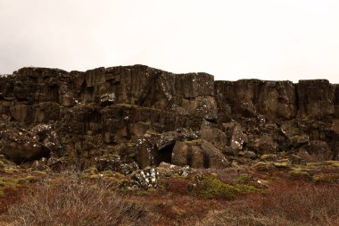 Thingvellir, İzlanda 'nın güneybatısında, başkenti Reykjavik' ten çok uzak olmayan tarihi bir yer ve ulusal park..