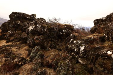 Thingvellir, İzlanda 'nın güneybatısında, başkenti Reykjavik' ten çok uzak olmayan tarihi bir yer ve ulusal park..