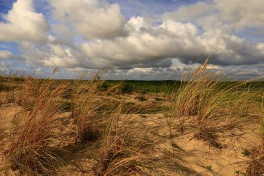 Cap-Ferret plajını seyret.