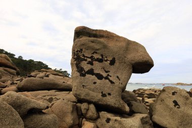 Ile Milliau, Fransa 'nın Brittany eyaletinde yer alan bir adadır. 