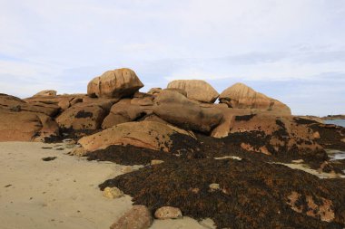 Pembe Granit Sahili, Fransa 'nın kuzeyindeki Cotes d' Armor bölgesinde yer alan bir kıyı şerididir.