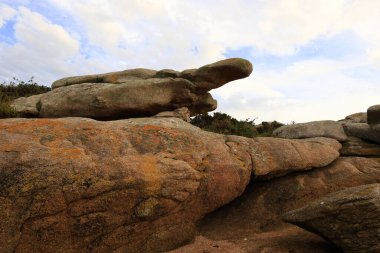 Pembe Granit Sahili, Fransa 'nın kuzeyindeki Cotes d' Armor bölgesinde yer alan bir kıyı şerididir.