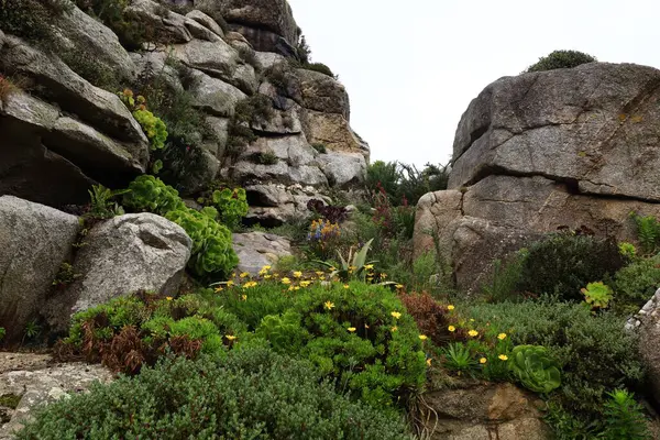 Roscoff 'un egzotik bahçesi Fransa' nın Brittany bölgesindeki Roscoff, Finistere 'de bulunan bir botanik bahçesidir..