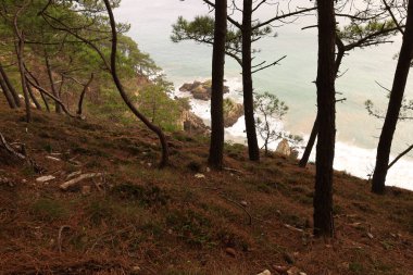 Crozon yarımadası Finistere 'de Brest' in önünde yer almaktadır.