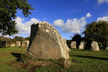 Menec hizalaması, Fransa 'nın Morbihan kentindeki Carnac' ın megalitik hizalamasıdır..