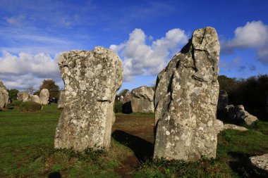 Menec hizalaması, Fransa 'nın Morbihan kentindeki Carnac' ın megalitik hizalamasıdır..