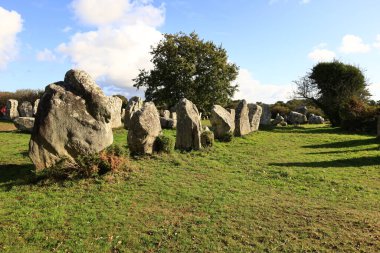 Menec hizalaması, Fransa 'nın Morbihan kentindeki Carnac' ın megalitik hizalamasıdır..