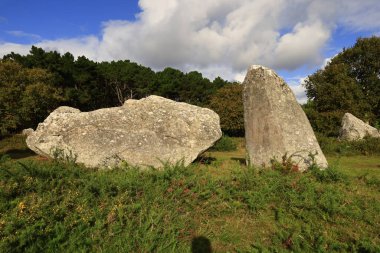Menec hizalaması, Fransa 'nın Morbihan kentindeki Carnac' ın megalitik hizalamasıdır..