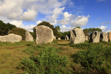 Menec hizalaması, Fransa 'nın Morbihan kentindeki Carnac' ın megalitik hizalamasıdır..