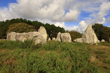 Menec hizalaması, Fransa 'nın Morbihan kentindeki Carnac' ın megalitik hizalamasıdır..