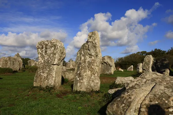 Menec hizalaması, Fransa 'nın Morbihan kentindeki Carnac' ın megalitik hizalamasıdır..