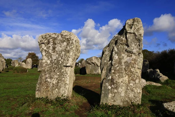 Menec hizalaması, Fransa 'nın Morbihan kentindeki Carnac' ın megalitik hizalamasıdır..