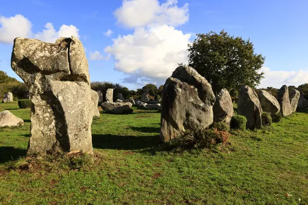 Menec hizalaması, Fransa 'nın Morbihan kentindeki Carnac' ın megalitik hizalamasıdır..