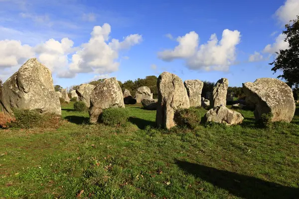 Menec hizalaması, Fransa 'nın Morbihan kentindeki Carnac' ın megalitik hizalamasıdır..