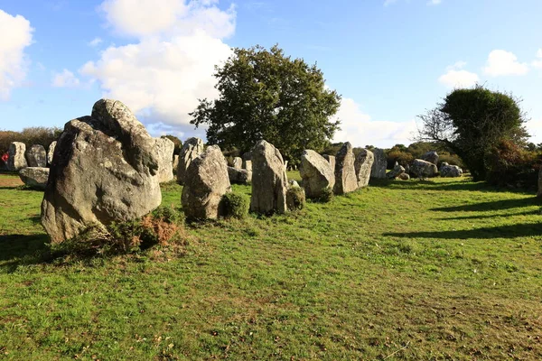 Menec hizalaması, Fransa 'nın Morbihan kentindeki Carnac' ın megalitik hizalamasıdır..