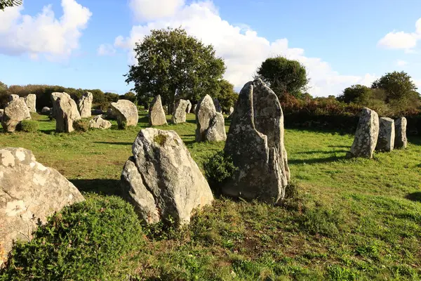 Menec hizalaması, Fransa 'nın Morbihan kentindeki Carnac' ın megalitik hizalamasıdır..