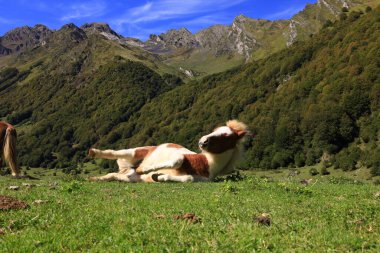 Pirene Ulusal Parkı, Hautes-Pyrenees ve Pyrenees-Atlantiques departmanlarında yer alan bir Fransız milli parkıdır.