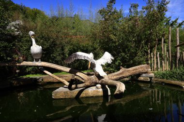 Pireneler Hayvan Parkı, Argeles-Gazost, Hautes-Pyrenees 'de yer almaktadır.,