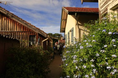 Arcachon havzasının kenarındaki Lege-Cap-Ferret kasabasında bulunan Çimen Köyü.