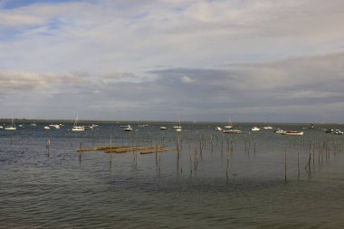  Arcachon Körfezi, Fransa 'nın güneybatı kıyısında, Pays de Buch' da yer alan Atlantik Okyanusu 'nun bir körfezi.