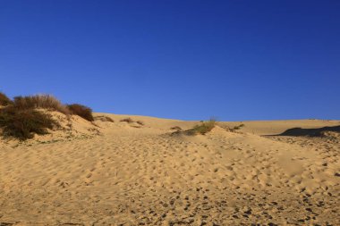 Pilat Kumulu Avrupa 'daki en uzun kum tepesidir. Arcachon Körfezi bölgesinde La Teste-de-Buch 'da yer almaktadır.