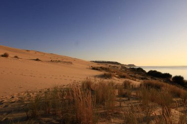 Pilat Kumulu Avrupa 'daki en uzun kum tepesidir. Arcachon Körfezi bölgesinde La Teste-de-Buch 'da yer almaktadır.