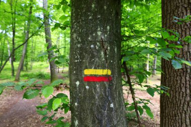 Saint-Germain-en-Laye Ormanı veya Foret de Saint-Germain-en-Laye, Seine Nehri 'nin bir yamacında yer alan 35 km ²' lik baskın bir ormandır.