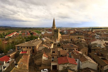 Olite Kraliyet Sarayı, İspanya 'nın Navarre kentindeki Olite kasabasında bulunan bir kale sarayıdır.