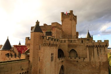 Olite Kraliyet Sarayı, İspanya 'nın Navarre kentindeki Olite kasabasında bulunan bir kale sarayıdır.