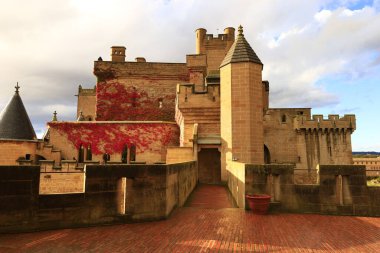 Olite Kraliyet Sarayı, İspanya 'nın Navarre kentindeki Olite kasabasında bulunan bir kale sarayıdır.