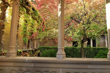 Olite Kraliyet Sarayı, İspanya 'nın Navarre kentindeki Olite kasabasında bulunan bir kale sarayıdır.