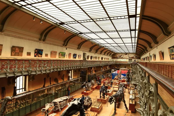 Paleontoloji ve Karşılaştırmalı Anatomi Galerisi Fransız Ulusal Doğal Tarih Müzesi 'nin bir parçasıdır.