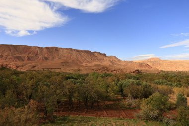 Fas 'taki Haut Atlas Oriental Ulusal Parkı' ndaki bir dağın manzarası. Doğu Yüksek Atlas Dağları 'nın içinde ve yakınında 49.000 hektarlık bir alanı kaplıyor