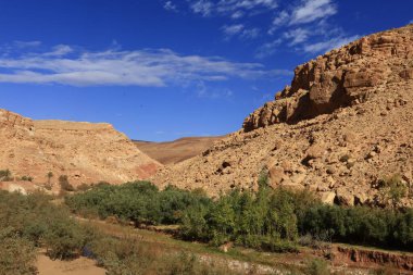 Fas 'taki Haut Atlas Oriental Ulusal Parkı' ndaki bir dağın manzarası. Doğu Yüksek Atlas Dağları 'nın içinde ve yakınında 49.000 hektarlık bir alanı kaplıyor