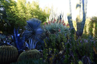 Anima Garden, Fas 'ın Marakeş şehrinin eteklerinde bulunan bir botanik bahçesi..