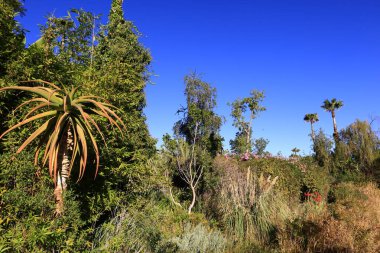 Anima Garden, Fas 'ın Marakeş şehrinin eteklerinde bulunan bir botanik bahçesi..