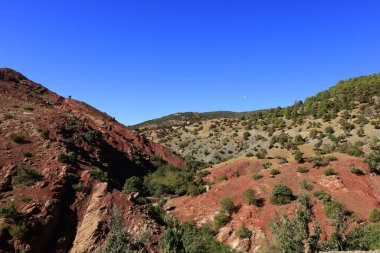 Toubkal Ulusal Parkı, Orta-Batı Fas 'taki Marakeş' ten 70 kilometre uzaklıktaki Yüksek Atlas Dağları 'nda bir milli parktır.