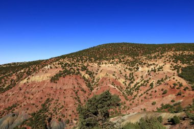 Toubkal Ulusal Parkı, Orta-Batı Fas 'taki Marakeş' ten 70 kilometre uzaklıktaki Yüksek Atlas Dağları 'nda bir milli parktır.