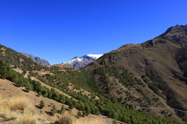 Toubkal Ulusal Parkı, Orta-Batı Fas 'taki Marakeş' ten 70 kilometre uzaklıktaki Yüksek Atlas Dağları 'nda bir milli parktır.
