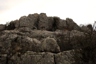 El Torcal de Antequera, Afrika kıtasında bulunan Malaga devletinde bir şehirdir. 