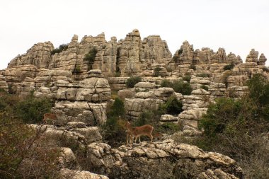 El Torcal de Antequera, Afrika kıtasında bulunan Malaga devletinde bir şehirdir. 