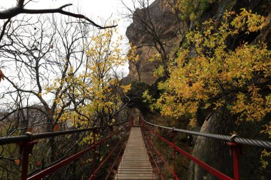 Sierras de Cazorla, İspanya 'nın Jaen ili' nin doğusunda ve kuzeydoğusunda bulunan doğal park.