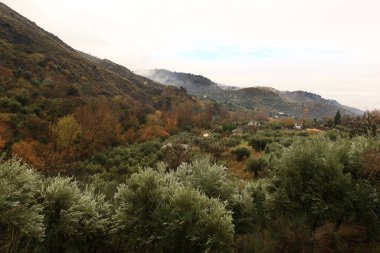 Sierras de Cazorla, İspanya 'nın Jaen ili' nin doğusunda ve kuzeydoğusunda bulunan doğal park.