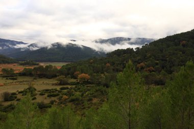 Sierras de Cazorla, İspanya 'nın Jaen ili' nin doğusunda ve kuzeydoğusunda bulunan doğal park.