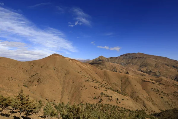 View on a mountain in the Haut Atlas Oriental National Park  located in Morocco. It covers 49,000 hectares in and near the eastern High Atlas mountains