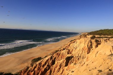 Güneybatı Alentejo ve Vicentine Coast Natural Park, Portekiz 'in güneybatısında yer alan doğal bir parktır..