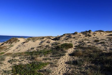 Güneybatı Alentejo ve Vicentine Coast Natural Park, Portekiz 'in güneybatısında yer alan doğal bir parktır..