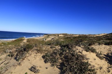 Güneybatı Alentejo ve Vicentine Coast Natural Park, Portekiz 'in güneybatısında yer alan doğal bir parktır..