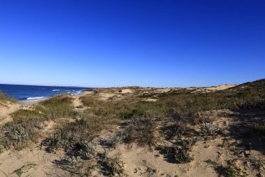 Güneybatı Alentejo ve Vicentine Coast Natural Park, Portekiz 'in güneybatısında yer alan doğal bir parktır..